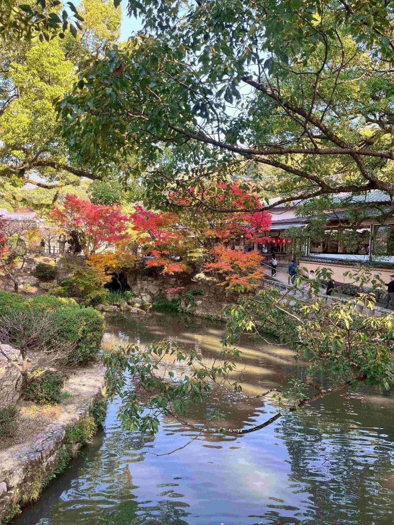 太宰府天滿宮 7