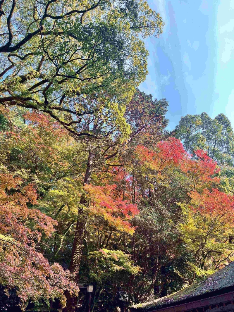 太宰府天滿宮 1