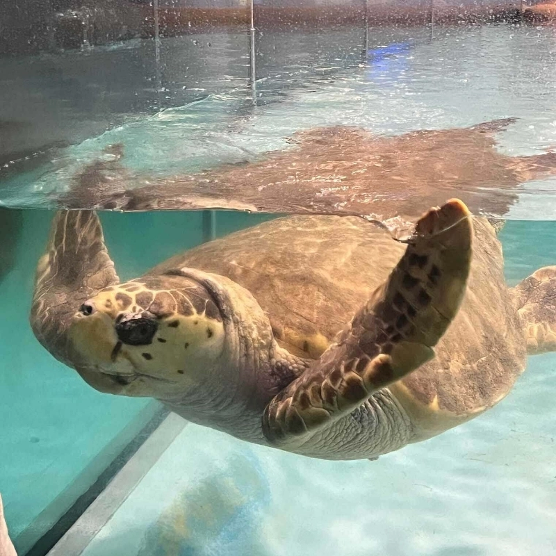 海之中道水族館 5
