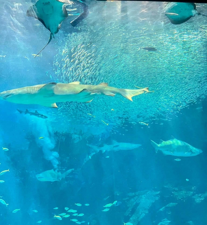 海之中道水族館 1