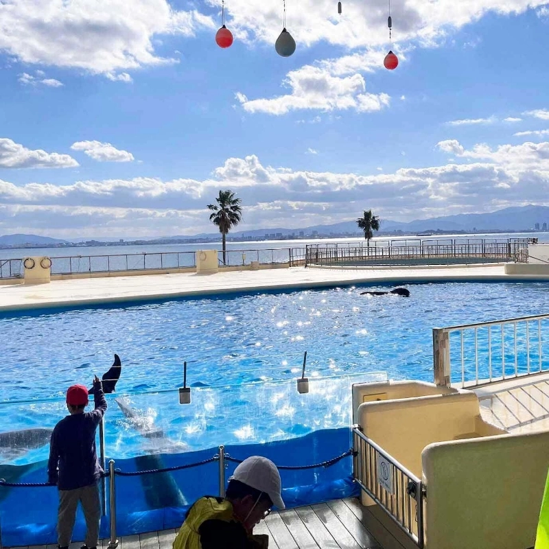 海豚 & 海獅表演