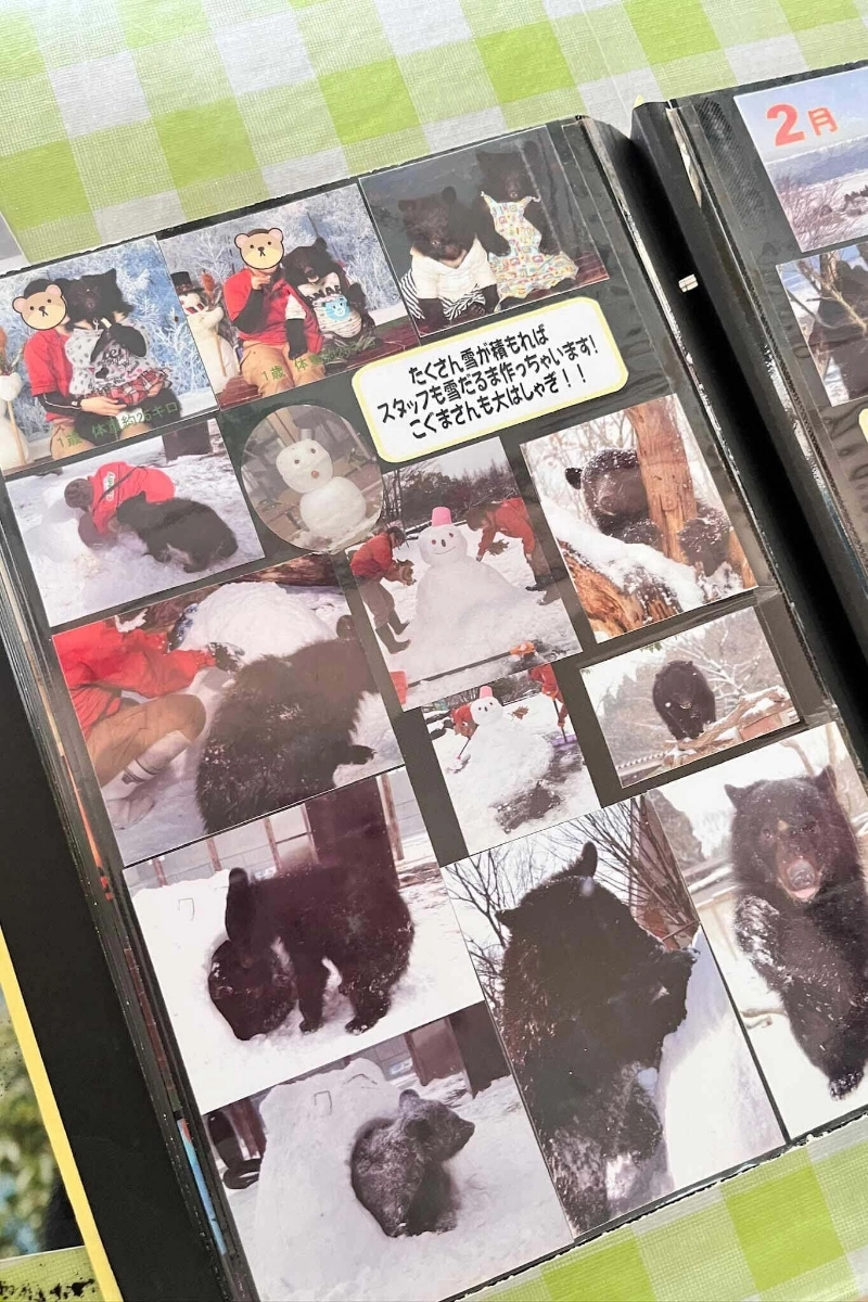 小熊的生活紀錄本