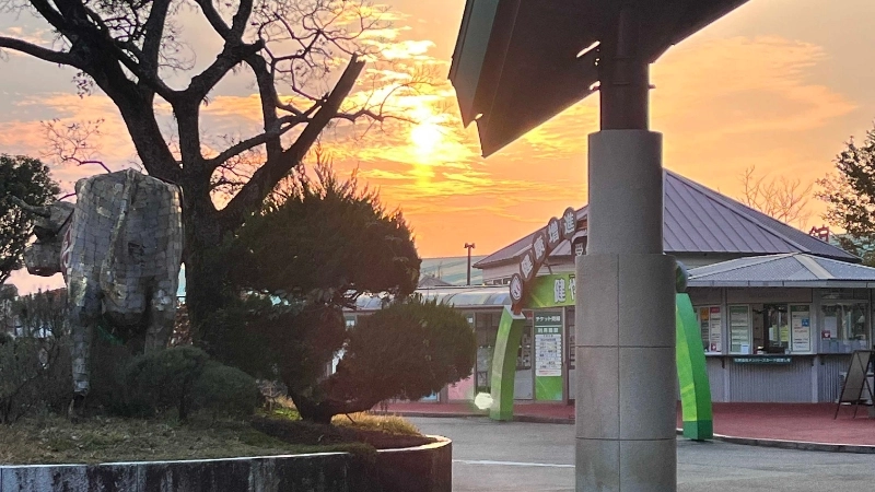 夕陽下等待接駁巴士中