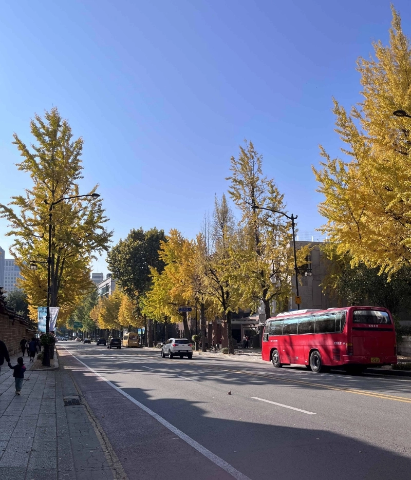 景福宮外邊街道